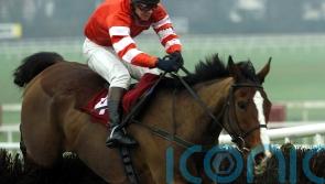 Florida Pearl the undisputed king of the Irish Gold Cup