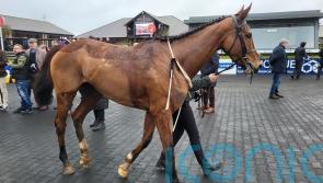 Back-in-action Maughreen makes no mistake on jumping bow