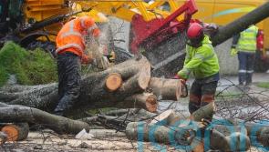 Everything being done to restore power supplies to Irish homes, say ministers