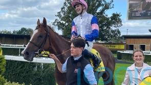 Salt Bay could prove Supreme springer after De Bromhead switch