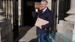 Sinn Fein TD granted permission to take legal action against Government