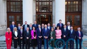 Former agriculture minister McConalogue among 16 junior ministers appointed