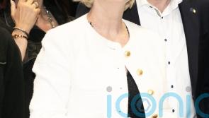 Two Irish MEPs appointed as deputies of EU committee on housing crisis