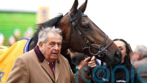 Five star performers for owner John Hales