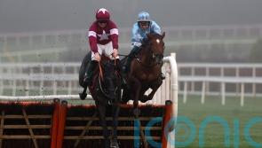 Galileo Dame tests Triumph claims for Joseph O&rsquo;Brien