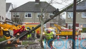 &lsquo;Ireland needs to be more resilient to storms&rsquo; as 74,000 remain without power