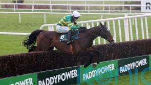 Majborough bolts up in Irish Arkle to send message to Sir Gino