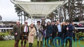 Vischio records special success for Emmet and Danny Mullins