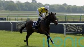 James Owen looking forward to some big days with Ambiente Friendly