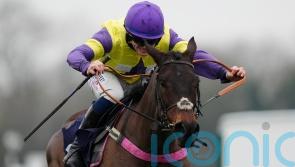 Kerry Lee narrowing down Nemean Lion options