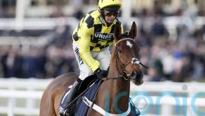 &lsquo;Sore&rsquo; Arkle favourite Sir Gino misses Game Spirit run