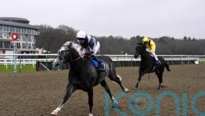 Tyrrhenian Sea floors Maljoom in Lingfield feature