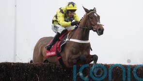 Sir Gino ruled out for remainder of the season