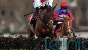 O&rsquo;Neill duo being lined up for post-Cheltenham targets
