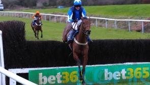 Luca Morgan delighted with start to new venture