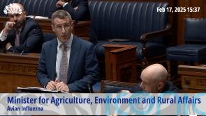 Stormont department took swift action over bird flu, says minister