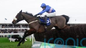 Williams happy to take his time on Cheltenham target for Libberty Hunter