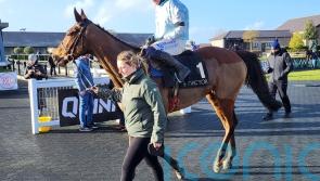 Jade De Grugy enhances Mares&rsquo; Hurdle claims at Punchestown
