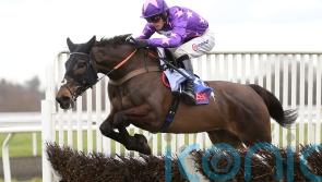 Conditions key to Rubaud&rsquo;s Pendil potential