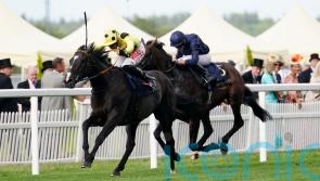 Burke backing Royal Champion to reign in Winter Derby