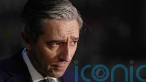 Harris welcomes alternative Gaza proposal over &lsquo;appalling vista&rsquo; of resettlement