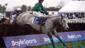 Gibney delighted by Intense Raffles National prep