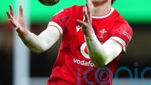 Ellis Mee reflects on promising Wales debut that evoked memories of George North