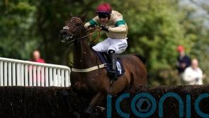 Grimthorpe outing over fences suits National ambitions for Twig