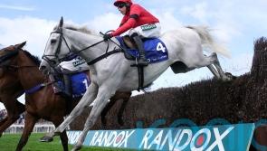 Grey Dawning back on track with Premier performance at Kelso