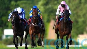 Popular stayer Caius Chorister set for date with City Of Troy