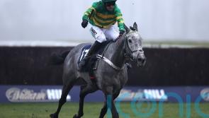 Joyeuse joins battle for Mares&rsquo; Hurdle honours