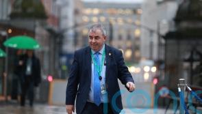 &lsquo;Boxer&rsquo; Moran takes aim at Independent Ireland over &lsquo;Elon Musk-type&rsquo; plan