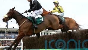 Patrick Mullins gearing up for Transmission mount