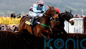 Three Gold Cups &ndash; but it might just have been a different Best Mate story