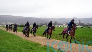 Cheltenham watering with warm weekend on the horizon