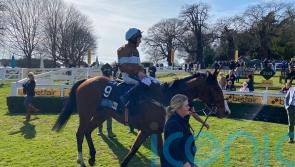 Laurens Bay lunges to unlikely Sandown success