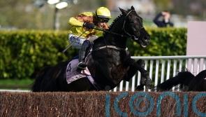 Galopin Des Champs heads nine left chasing Gold Cup glory