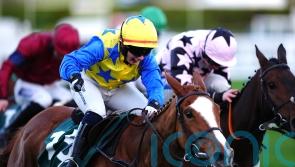 Jody Townend keeps up family tradition with first Festival winner