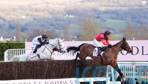 Gentlemansgame thrills Mouse Morris with Gold Cup third