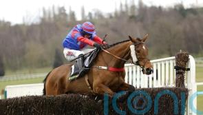 Midlands National glory for Mr Vango and Sara Bradstock