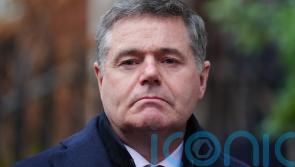 Nearly half of all exported Irish goods went to the US in January