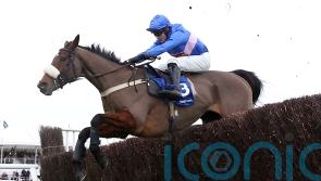 Libberty in the hunt for Punchestown honours