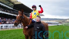 Punchestown and possibly Galway on the radar for Jazzy Matty