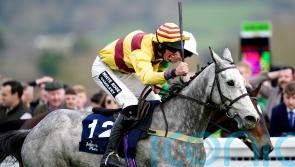Sine Nomine camp considering crack at Scottish National