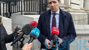 Harris discussed Irish surplus with US critic who got figure wrong &ndash; spokesman