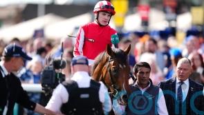 Scott hoping Bay City Roller will prove a chart topper this year