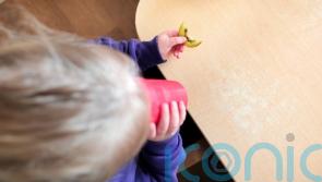 Protect nutrition for children during emergencies &ndash; cross-border report