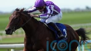Delacroix set for Ballysax Stakes test