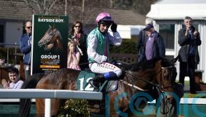 Swelter proves too hot for Leopardstown rivals