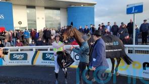 Gaelic Warrior reunited with Patrick Mullins for Bowl battle